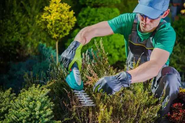 landscaping services Miner